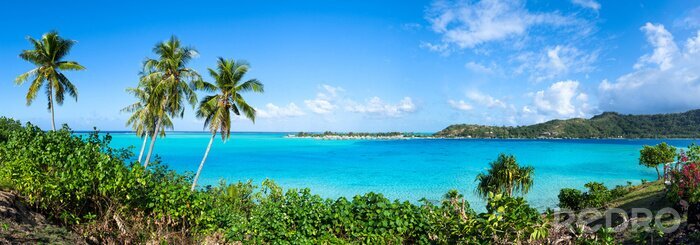 Poster  Ligne d'horizon tropicale