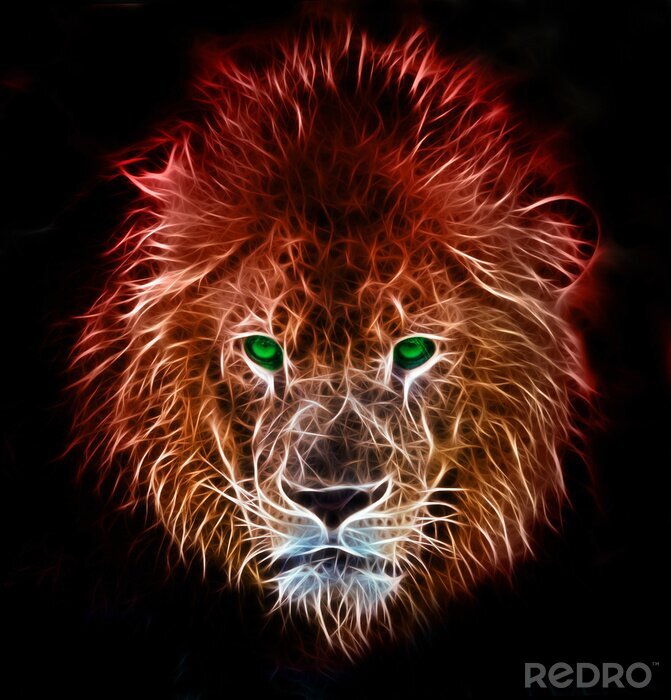Poster  Lion d'Afrique sur fond noir