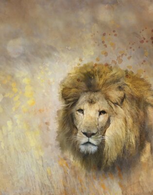 Poster  Lion dans l'herbe à l'aquarelle