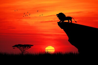 Poster  Lion et soleil couchant