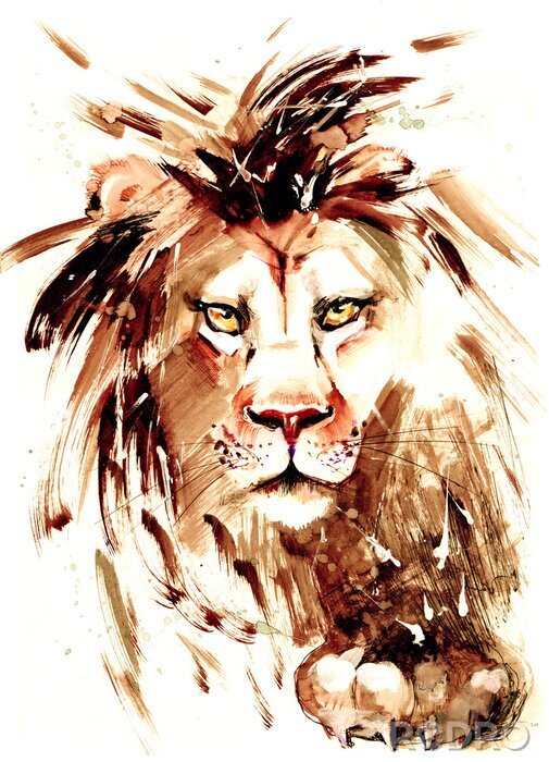 Poster  Lion peint à l'aquarelle
