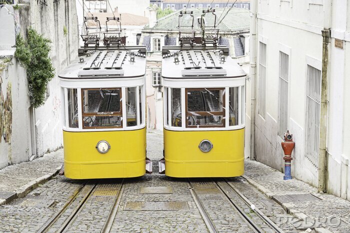 Poster  Lisbonne et vieux trams