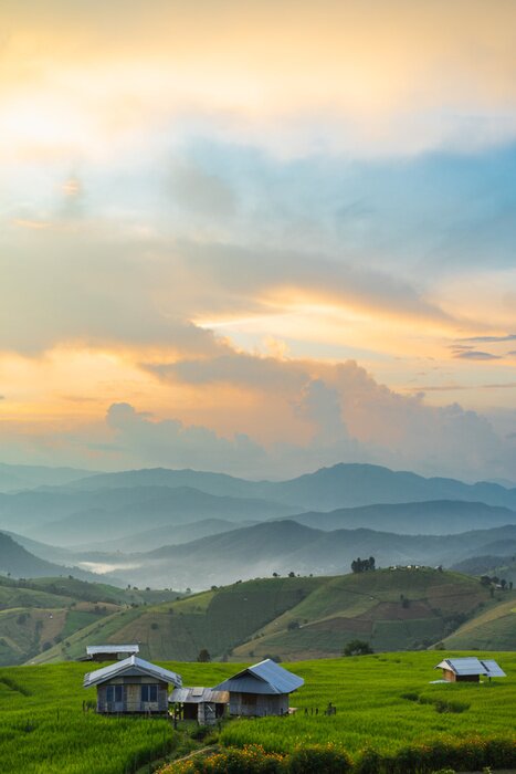 Poster  Little Cottage in Terraced Rice Fields