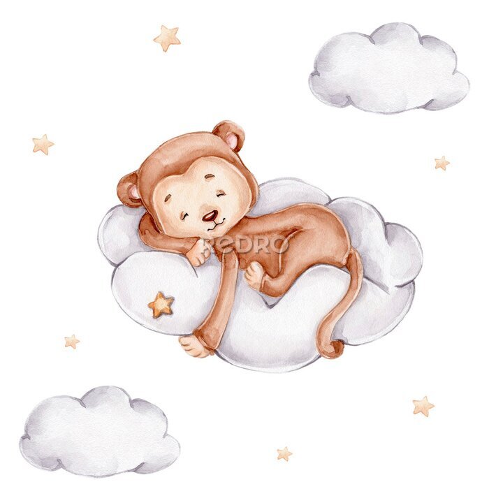 Poster  Little monkey sleeps on cloud; watercolor hand drawn illustration; with white isolated background