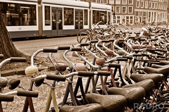 Poster  Location de vélos à Amsterdam