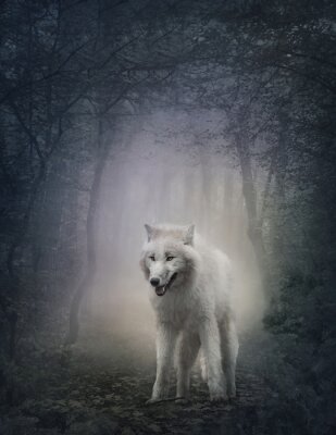 Loup blanc forêt sous le brouillard