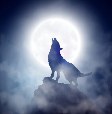 Poster  Loup hurlant à la lune