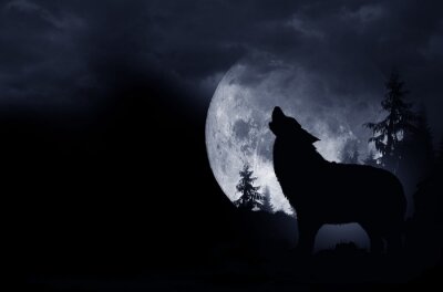 Loup noir et la lune