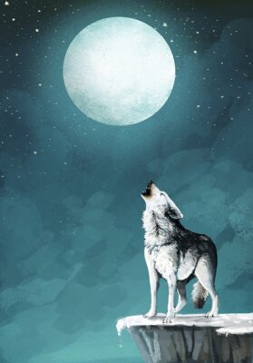 Poster  Loup sur fond de ciel nocturne