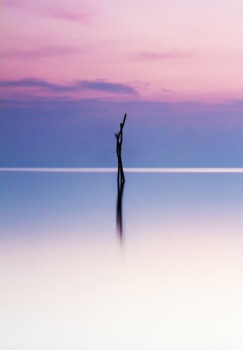 Poster  Lueur rose sur la mer