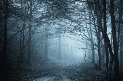 Lumière bleue dans une forêt brumeuse