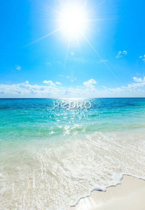 Poster  Lumière du soleil sur la mer limpide