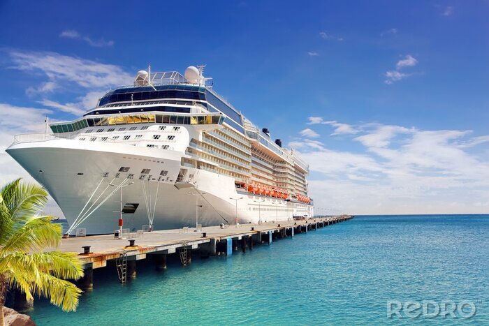 Poster  Luxury Cruise Ship Port