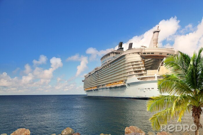 Poster  Luxury Cruise Ship Sailing from Port