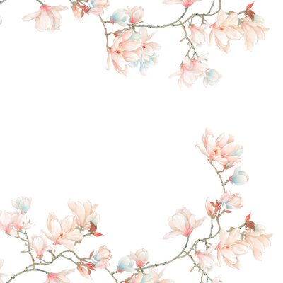 Sticker  Magnolia sur fond blanc avec des pétales bleus