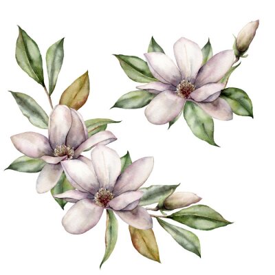 Poster  Magnolias pastel aux feuilles ombrées