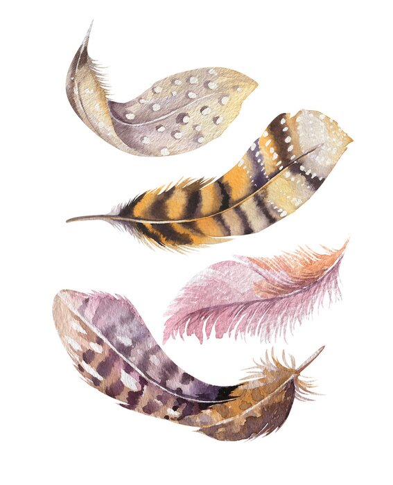 Poster  Main, tiré, aquarelles, peinture, vibrant, plume, ensemble. Boho style