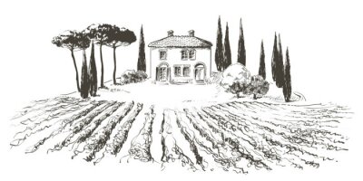 Poster  Maison près d'un vignoble en Toscane