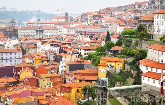 Poster  Maisons dans une ville portuaire