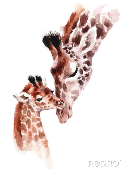 Poster  Maman girafe et bébé