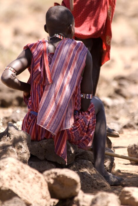 Poster  Masai, parc national d'Amboseli