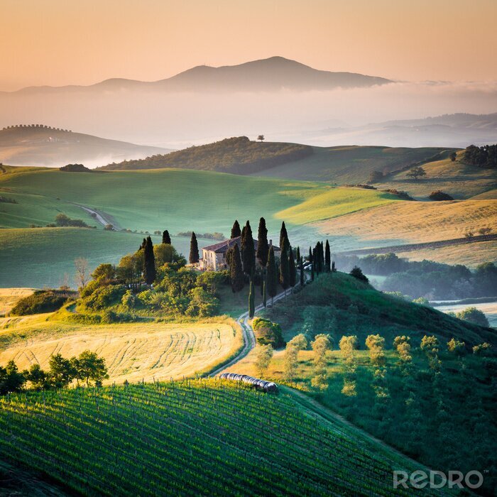 Poster  Mattino in Toscana, paesaggio e colline