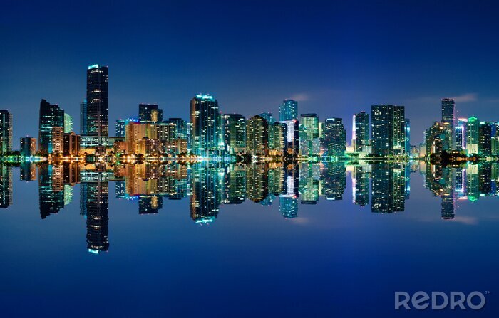 Poster  Miami Skyline de nuit