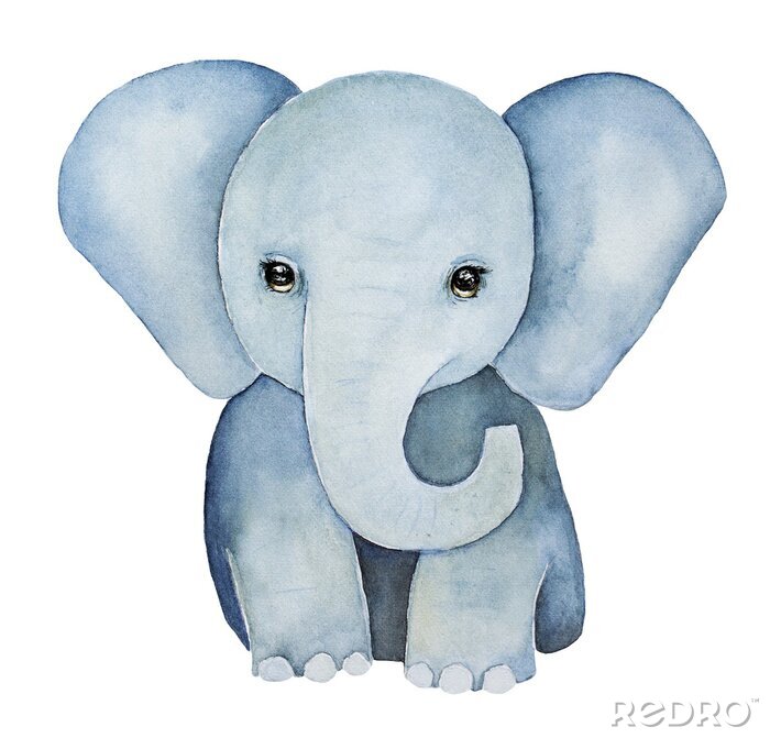 Poster Mignon Petit Peinture Delephant De Bebe Enormes Oreilles Sur Mesure Redro Fr