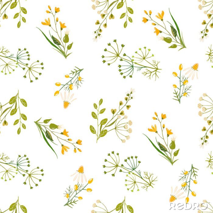 Poster  Modèle aquarelle vecteur floral