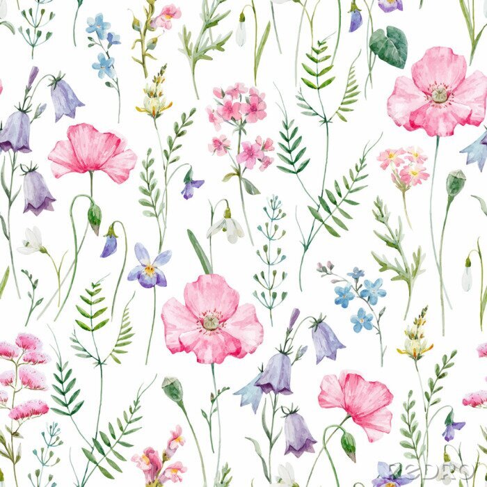 Poster  Modèle aquarelle vecteur floral