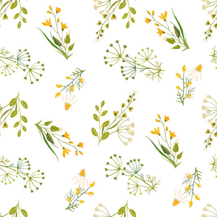 Poster  Modèle aquarelle vecteur floral