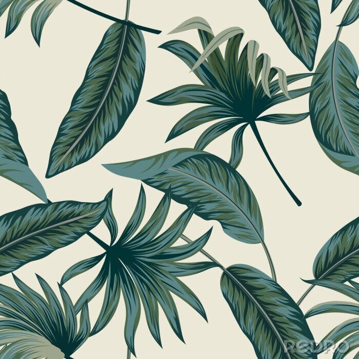 Poster  Modèle avec des feuilles de la jungle