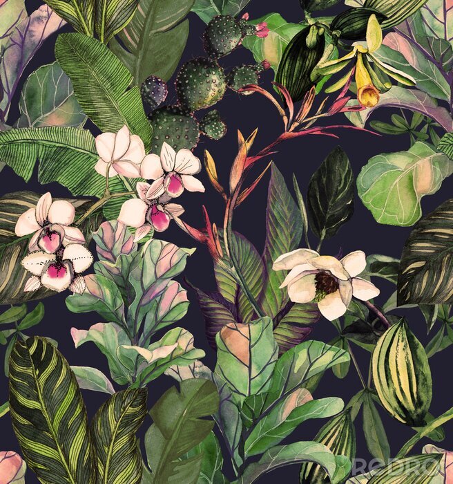 Poster  Modèle sans couture avec des fleurs et des feuilles tropicales. modèle aquarelle avec fleur de magnolia, orchidées, cactus, phalinopsis d'orchidée blanche. Fond botanique