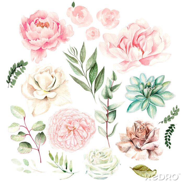 Poster  Modèle sans couture romantique pivoines, roses et eucalyptus