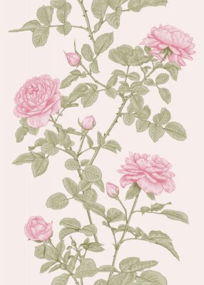 Poster  Modèle vertical de roses et de brindilles