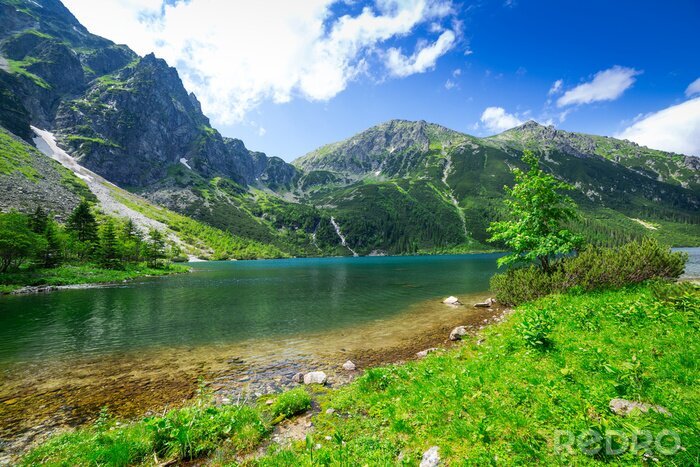 Poster  Montagnes polonaises