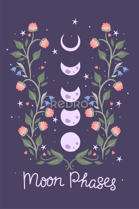 Poster  Moon phases floral