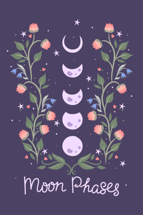 Poster  Moon phases floral