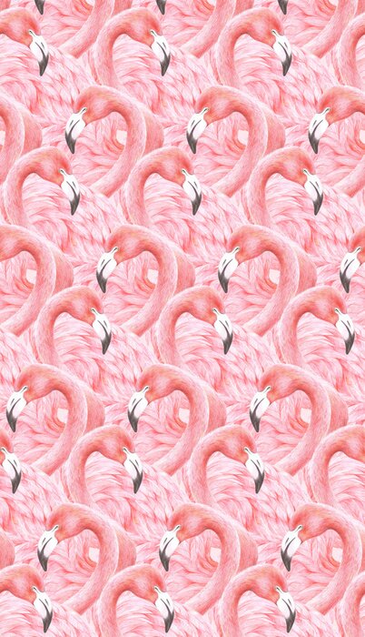Poster  Motif avec des flamants roses