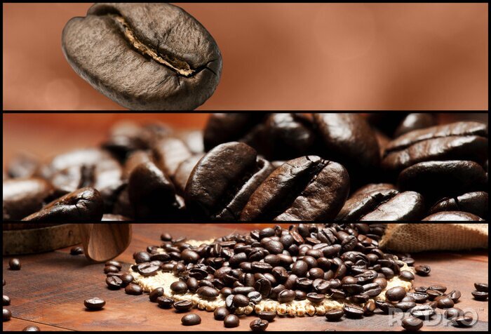 Poster  Motif avec des grains de café