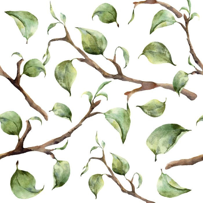Poster  Motif d'aquarelle avec des branches d'arbre et des feuilles. Main, peint, ressort, ornement, floral, éléments, feuilles, isolé, blanc, fond Pour la conception et le tissu