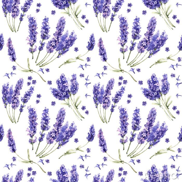 Poster  Motif de fleur de lavande de Wildflower dans un style d'aquarelle isolé.