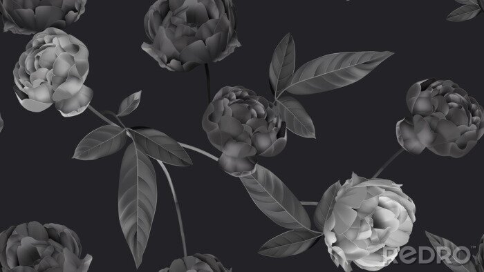 Poster  Motif élégant de roses grises