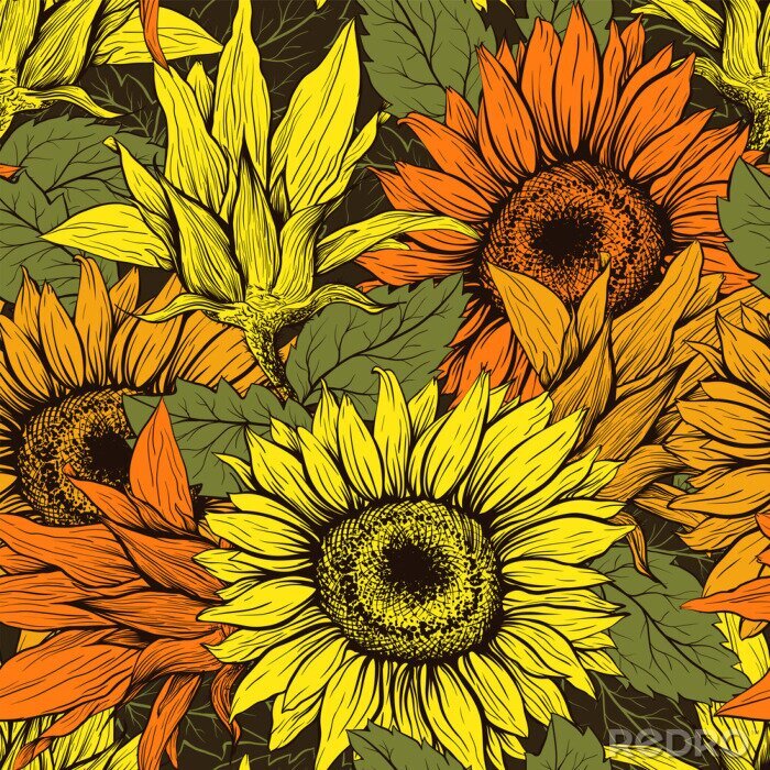 Poster  Motif floral avec des tournesols