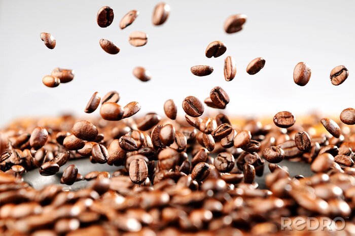 Poster  Motif grains de café qui tombent