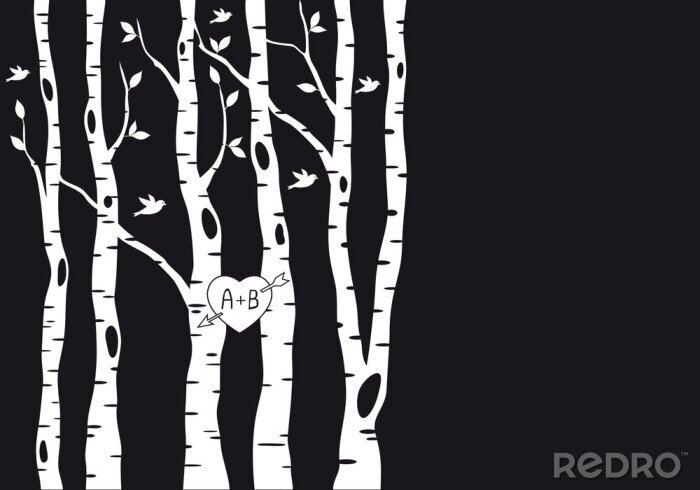 Poster  Motif noir et blanc avec des bouleaux