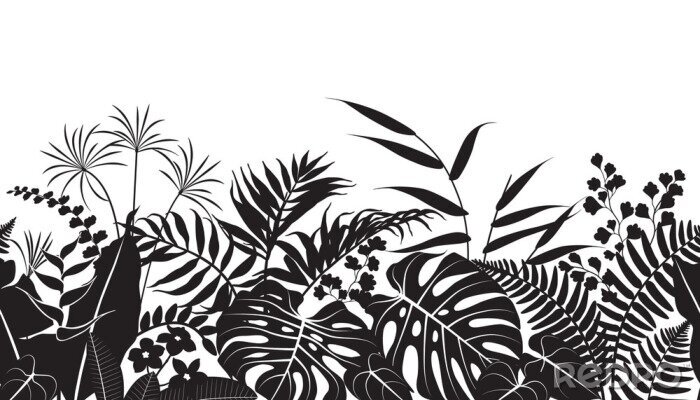 Poster  Motif noir et blanc avec des plantes