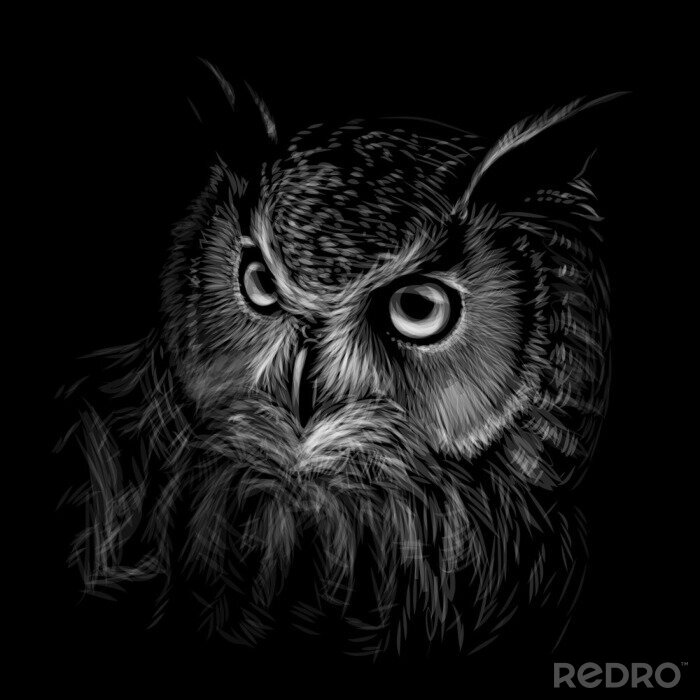 Poster  Motif noir et blanc avec un hibou