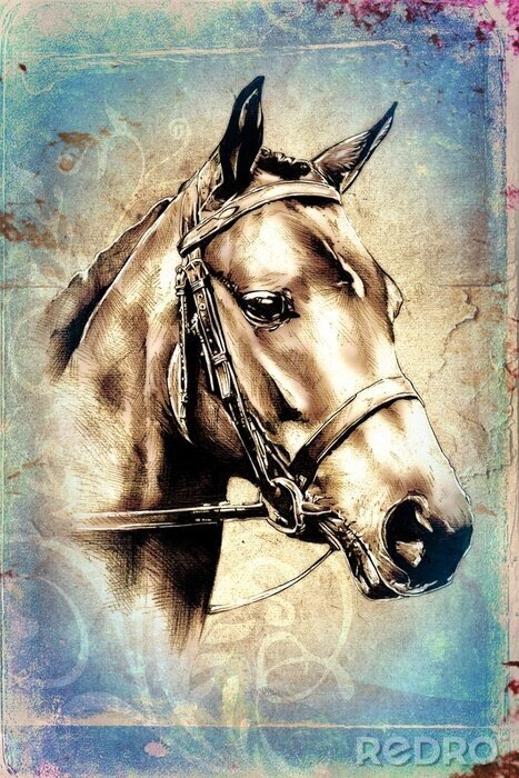 Poster  Motif tête d'animal