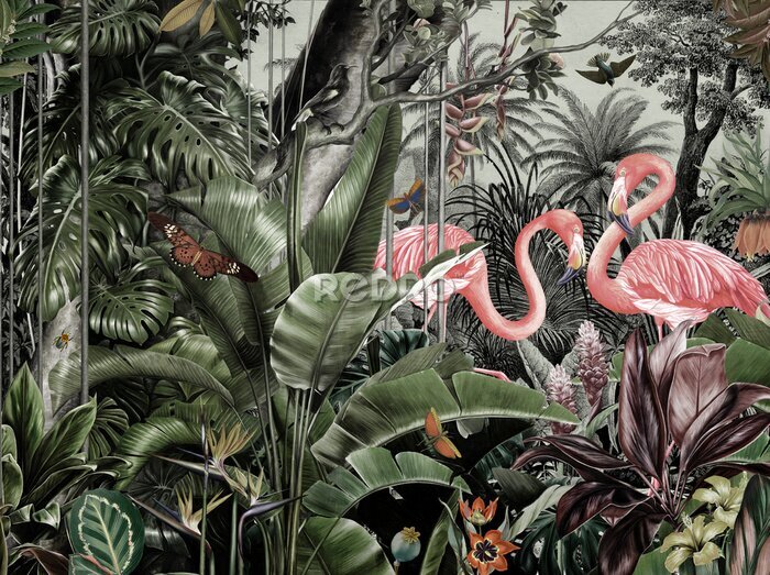 Poster  Motif tropical avec des flamants roses